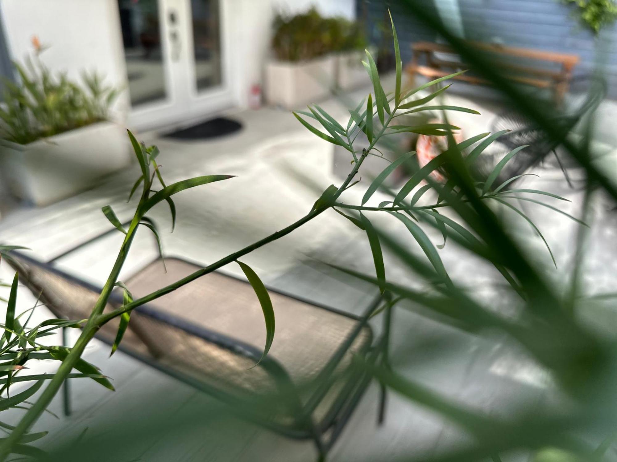 Resort Getaway In Private Garden Terrace Villa W Luxury Amenities Λος Άντζελες Εξωτερικό φωτογραφία